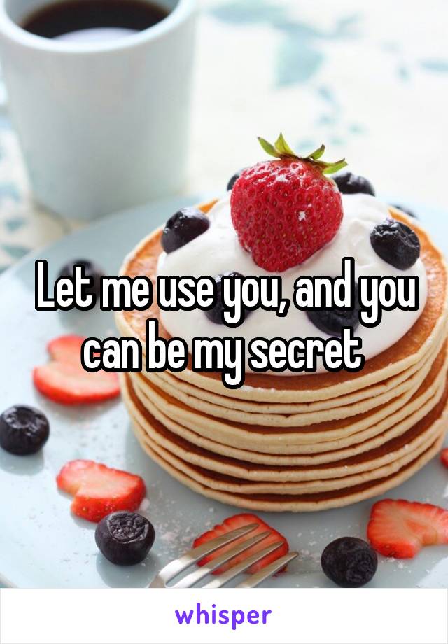 Let me use you, and you can be my secret 