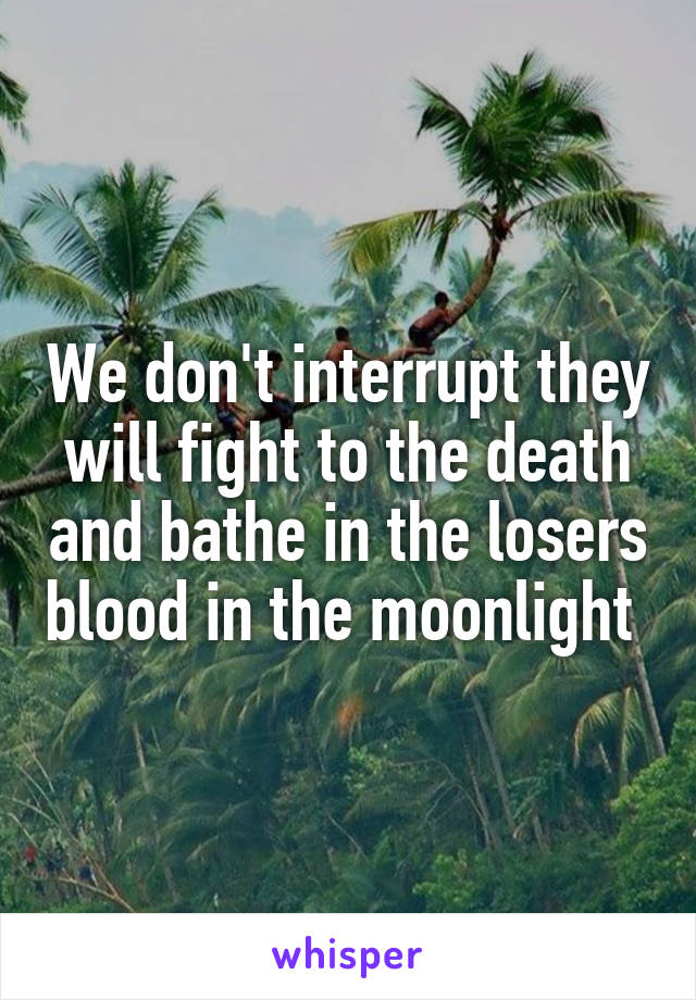 We don't interrupt they will fight to the death and bathe in the losers blood in the moonlight 