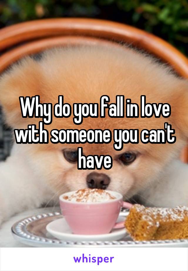 Why do you fall in love with someone you can't have