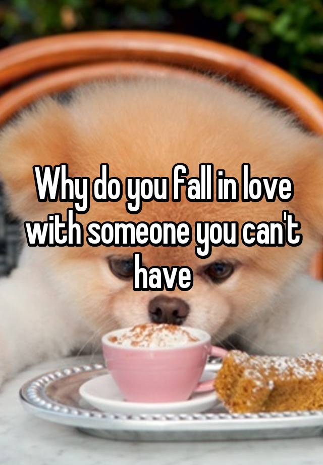 Why do you fall in love with someone you can't have