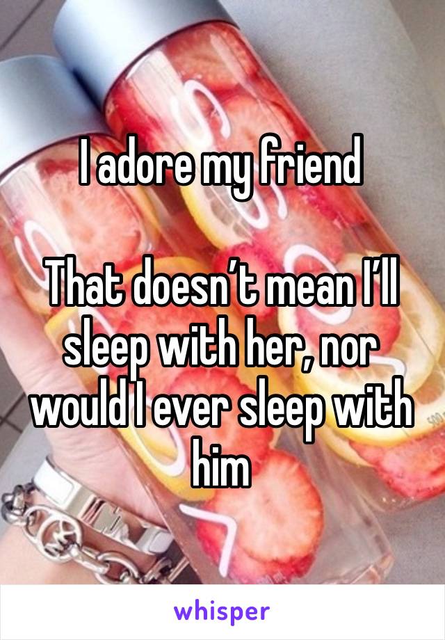 I adore my friend 

That doesn’t mean I’ll sleep with her, nor would I ever sleep with him 