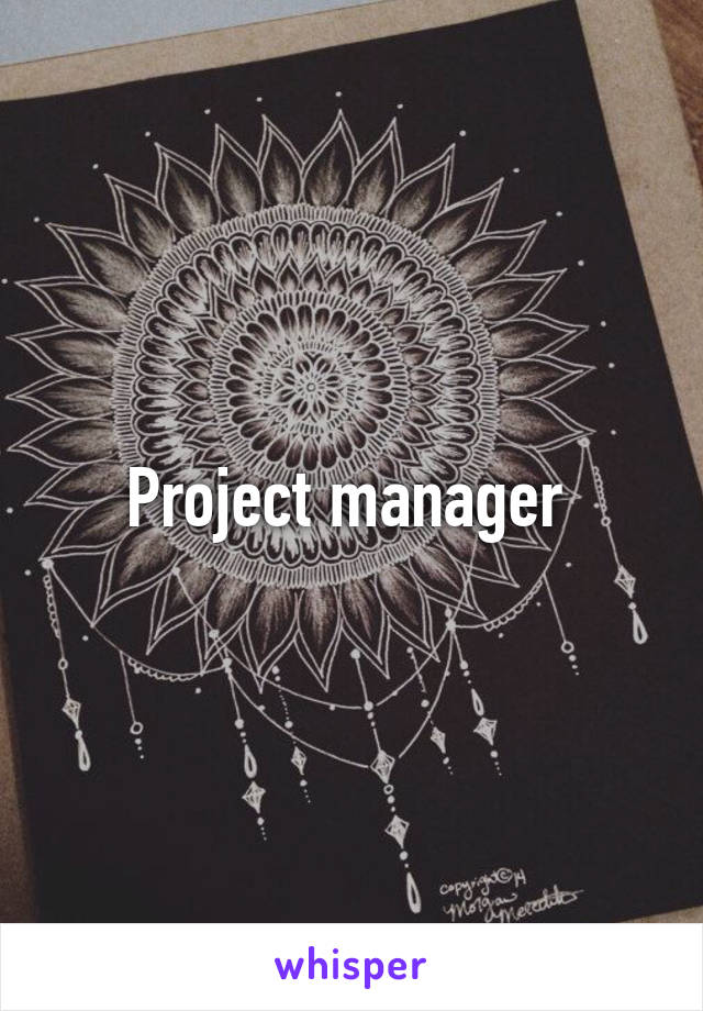 Project manager 