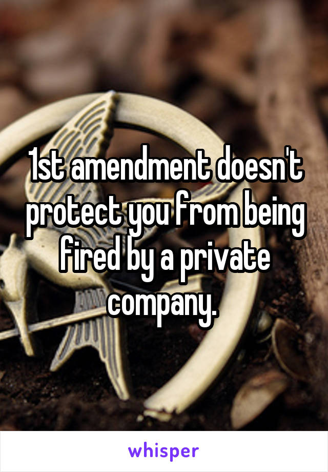 1st amendment doesn't protect you from being fired by a private company. 