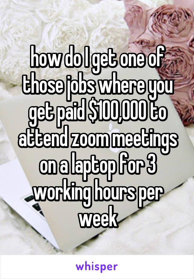 how do I get one of those jobs where you get paid $100,000 to attend zoom meetings on a laptop for 3 working hours per week