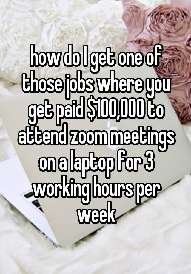 how do I get one of those jobs where you get paid $100,000 to attend zoom meetings on a laptop for 3 working hours per week