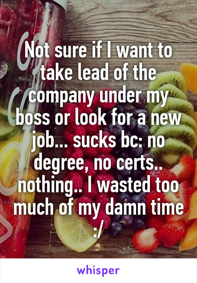 Not sure if I want to take lead of the company under my boss or look for a new job... sucks bc: no degree, no certs.. nothing.. I wasted too much of my damn time :/