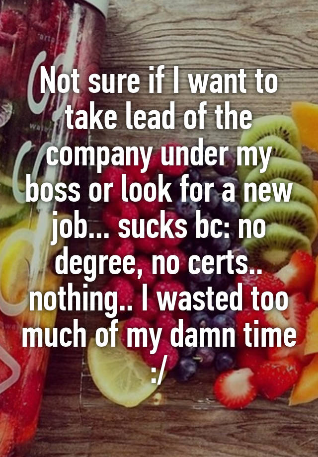 Not sure if I want to take lead of the company under my boss or look for a new job... sucks bc: no degree, no certs.. nothing.. I wasted too much of my damn time :/