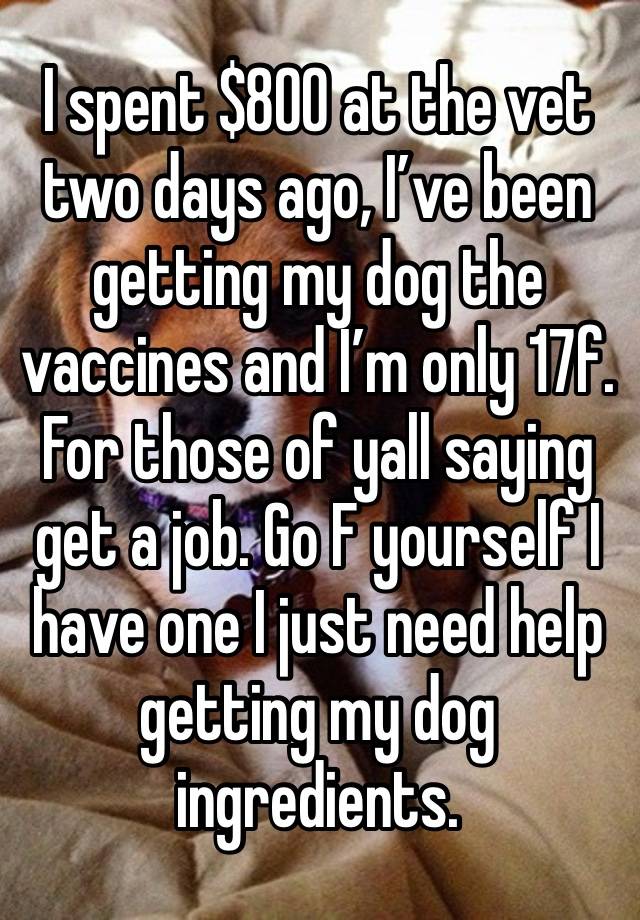 I spent $800 at the vet two days ago, I’ve been getting my dog the vaccines and I’m only 17f. For those of yall saying get a job. Go F yourself I have one I just need help getting my dog ingredients. 