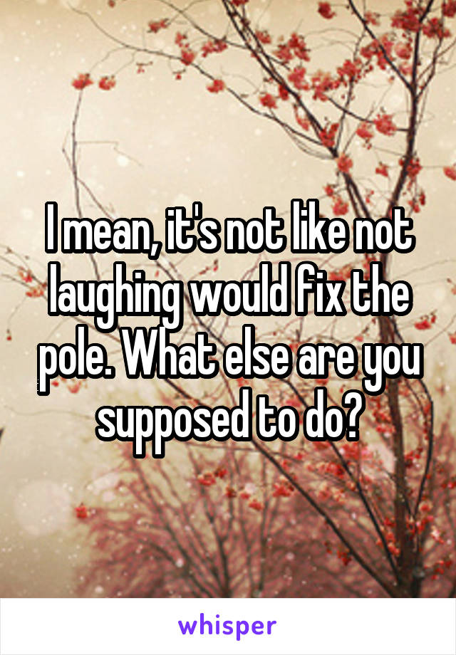 I mean, it's not like not laughing would fix the pole. What else are you supposed to do?