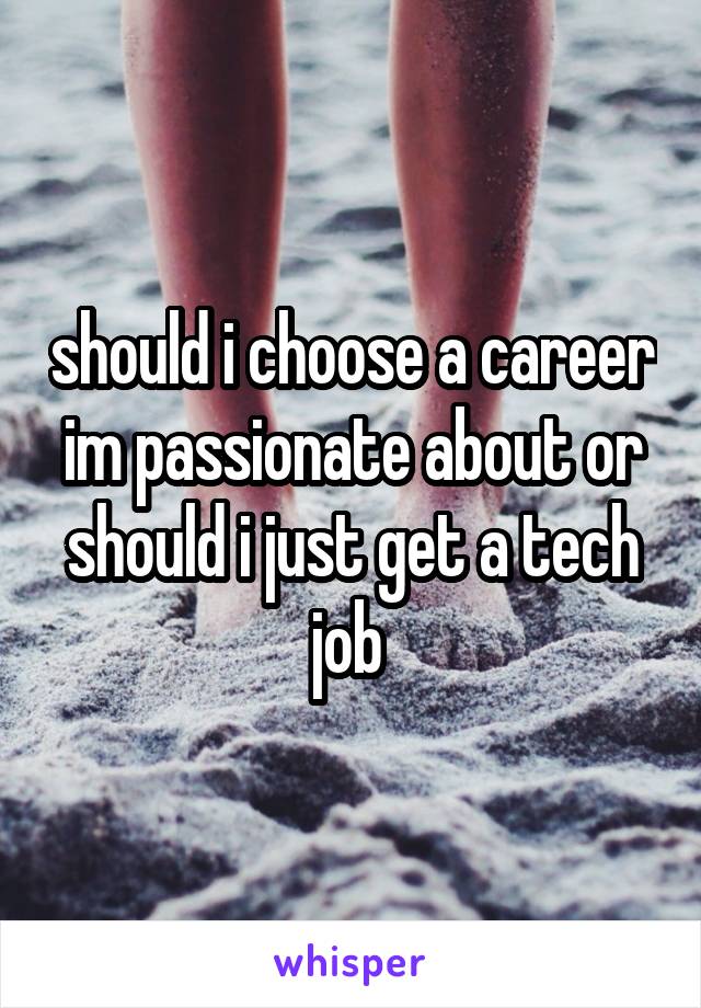 should i choose a career im passionate about or should i just get a tech job 