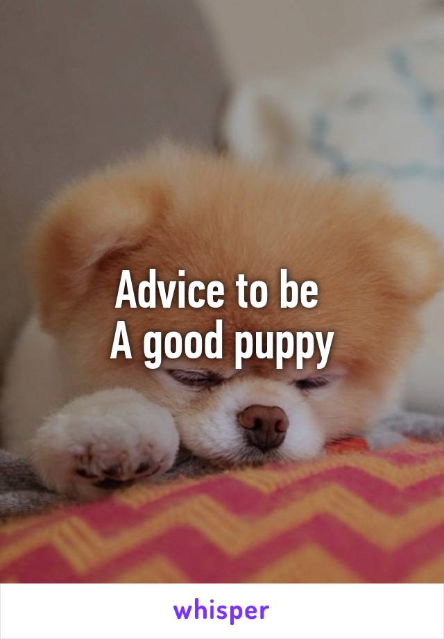 Advice to be 
A good puppy