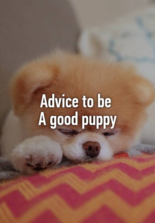 Advice to be 
A good puppy