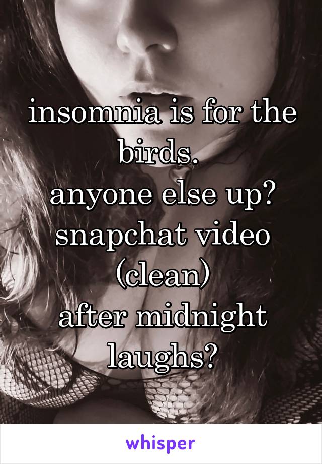 insomnia is for the birds. 
anyone else up?
snapchat video (clean)
after midnight laughs?