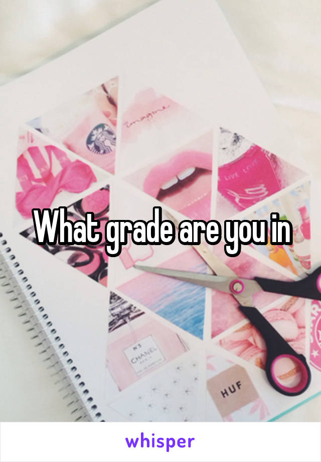 What grade are you in