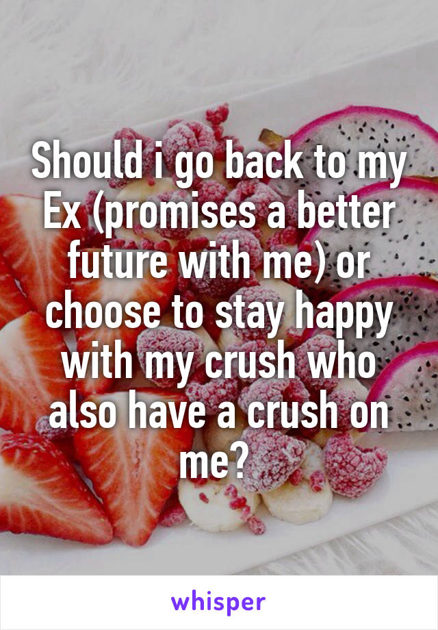 Should i go back to my Ex (promises a better future with me) or choose to stay happy with my crush who also have a crush on me? 