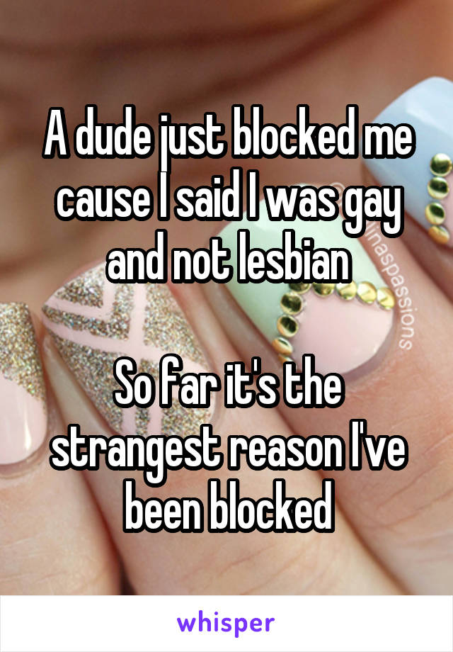 A dude just blocked me cause I said I was gay and not lesbian

So far it's the strangest reason I've been blocked