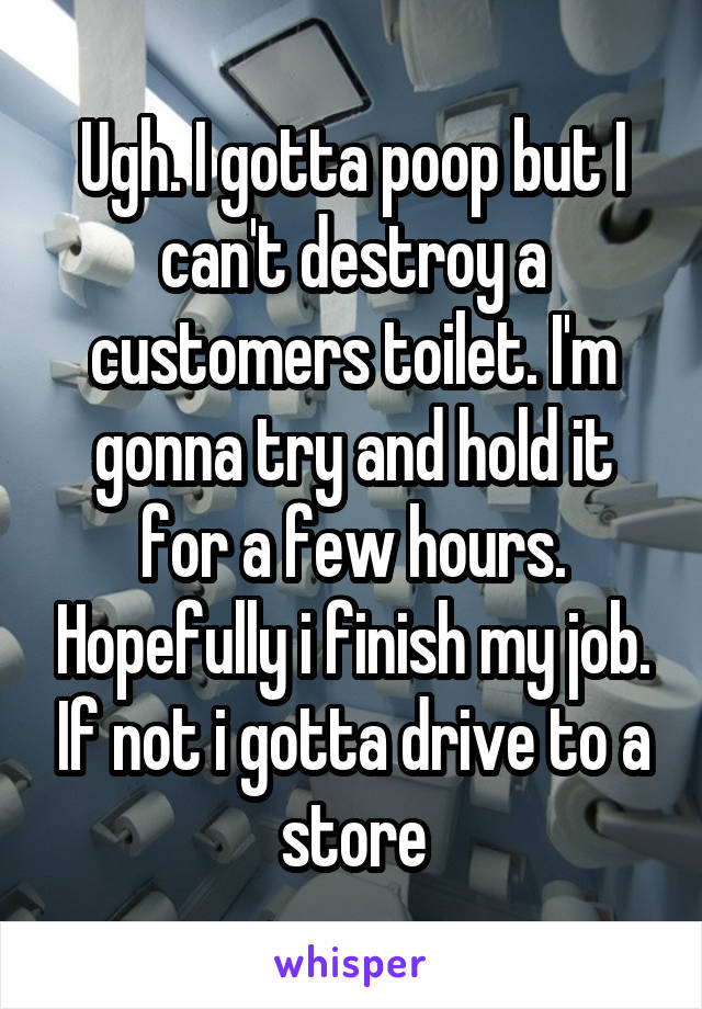 Ugh. I gotta poop but I can't destroy a customers toilet. I'm gonna try and hold it for a few hours. Hopefully i finish my job. If not i gotta drive to a store