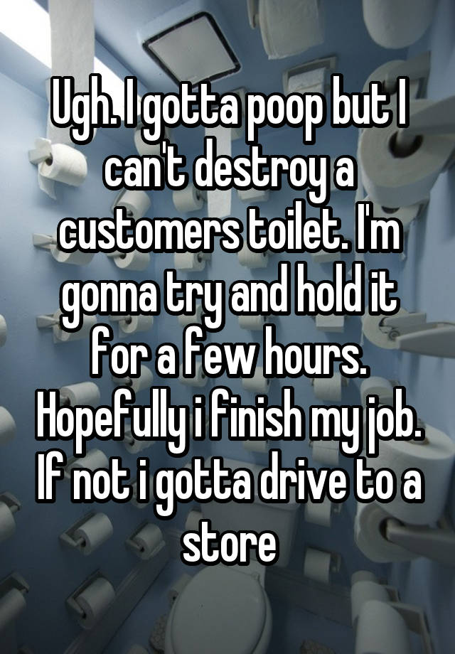 Ugh. I gotta poop but I can't destroy a customers toilet. I'm gonna try and hold it for a few hours. Hopefully i finish my job. If not i gotta drive to a store