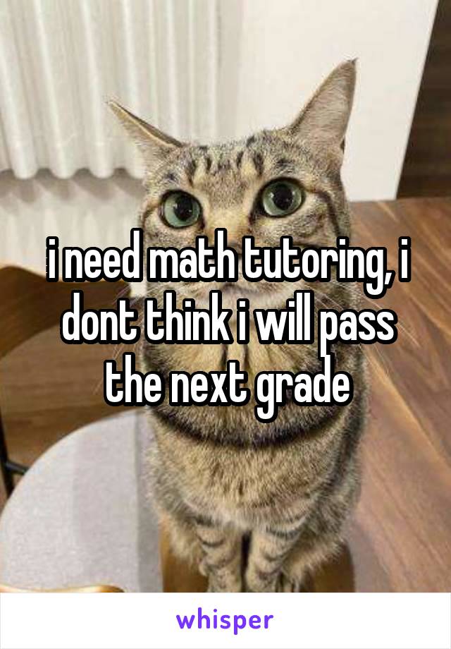 i need math tutoring, i dont think i will pass the next grade