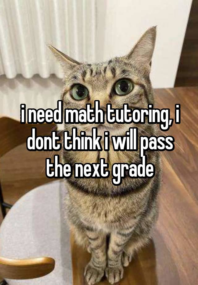 i need math tutoring, i dont think i will pass the next grade