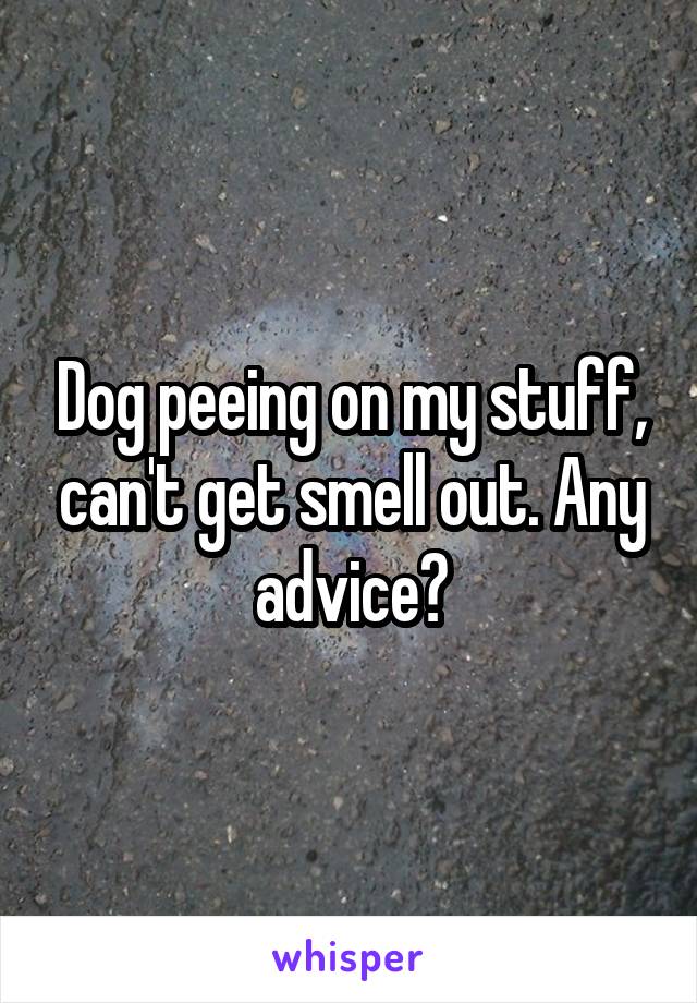 Dog peeing on my stuff, can't get smell out. Any advice?