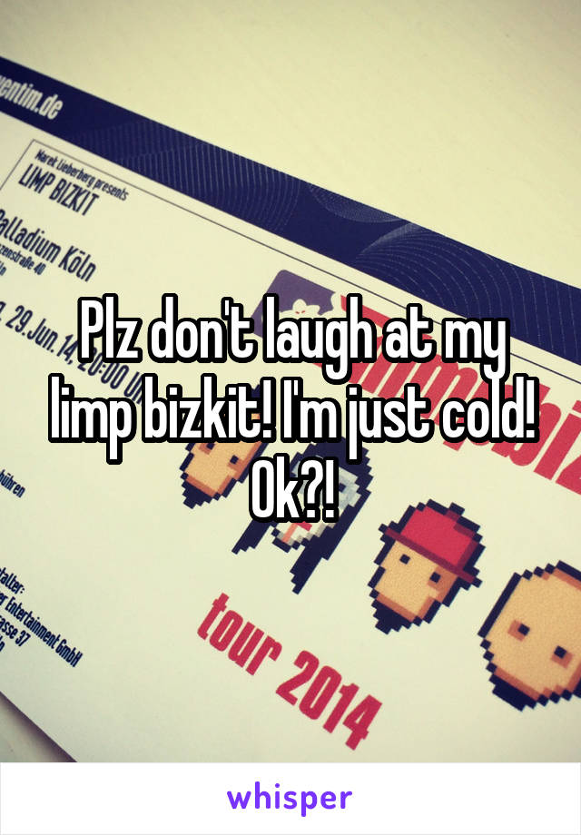 Plz don't laugh at my limp bizkit! I'm just cold! Ok?!