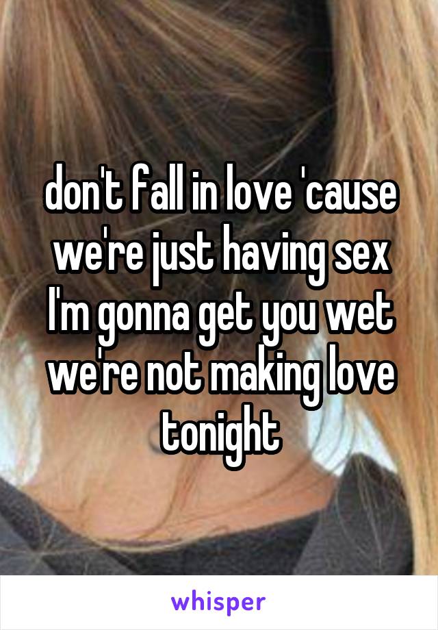 don't fall in love 'cause we're just having sex
I'm gonna get you wet
we're not making love tonight