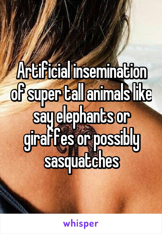 Artificial insemination of super tall animals like say elephants or giraffes or possibly sasquatches