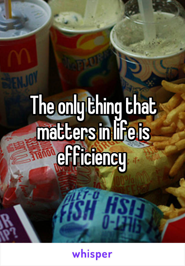 The only thing that matters in life is efficiency 