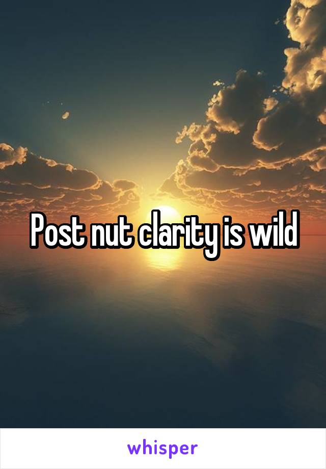 Post nut clarity is wild