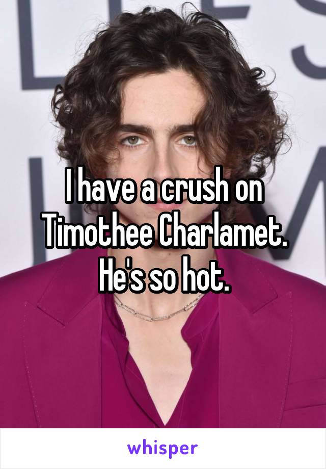 I have a crush on Timothee Charlamet. He's so hot.