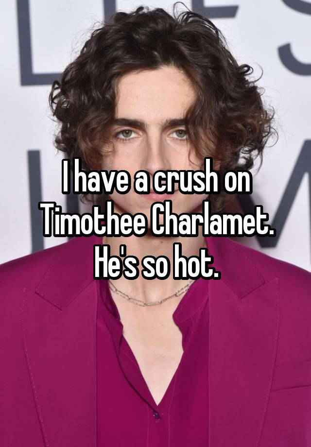 I have a crush on Timothee Charlamet. He's so hot.