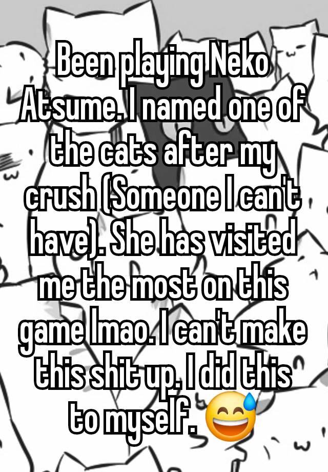 Been playing Neko Atsume. I named one of the cats after my crush (Someone I can't have). She has visited me the most on this game lmao. I can't make this shit up. I did this to myself. 😅