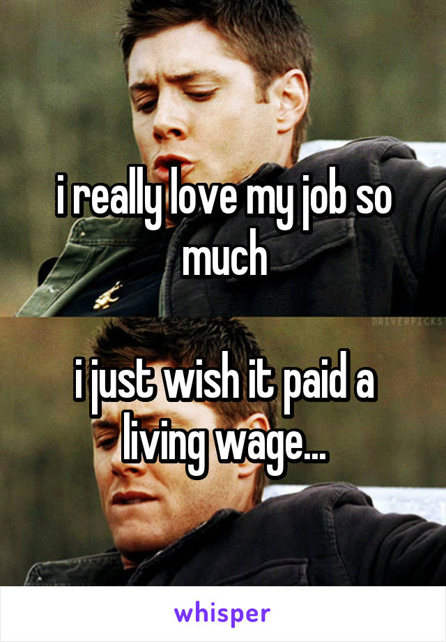 i really love my job so much

i just wish it paid a living wage...