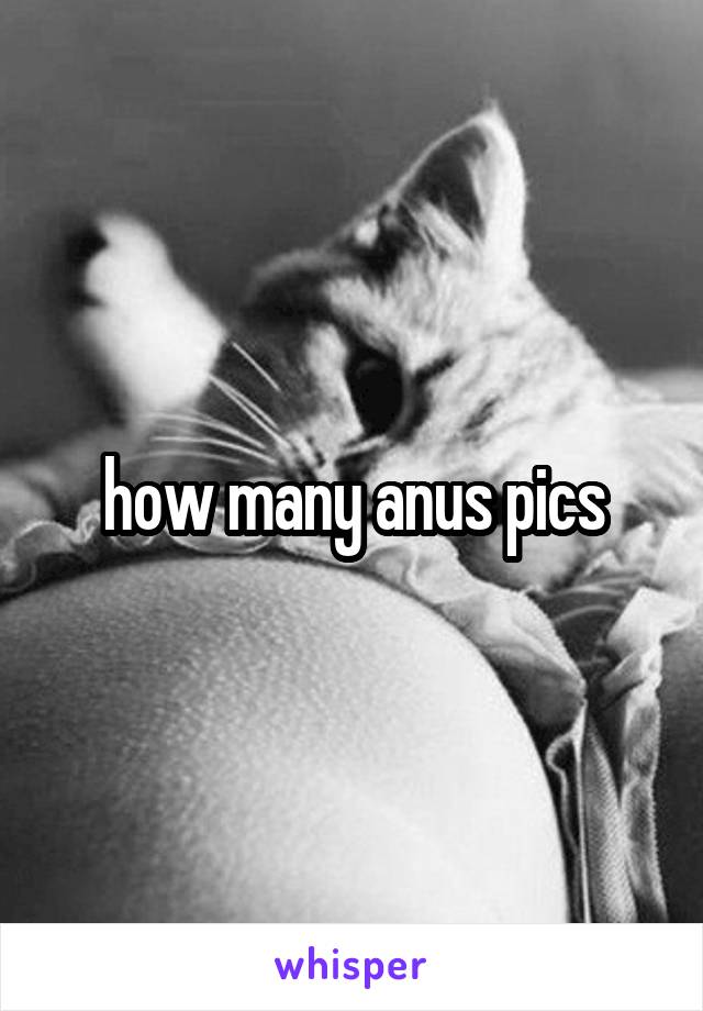 how many anus pics