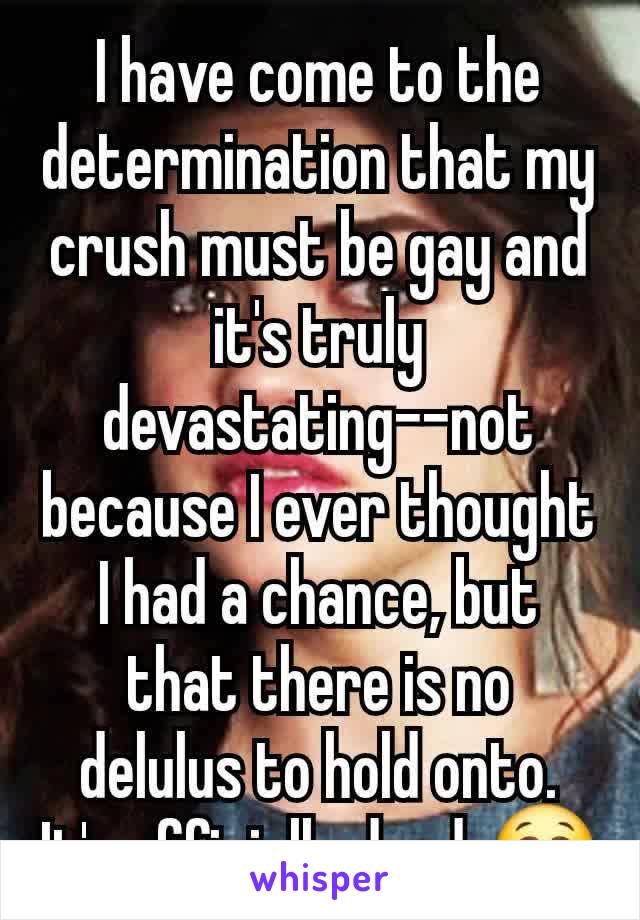 I have come to the determination that my crush must be gay and it's truly devastating--not because I ever thought I had a chance, but that there is no delulus to hold onto. It's officially dead. 😭