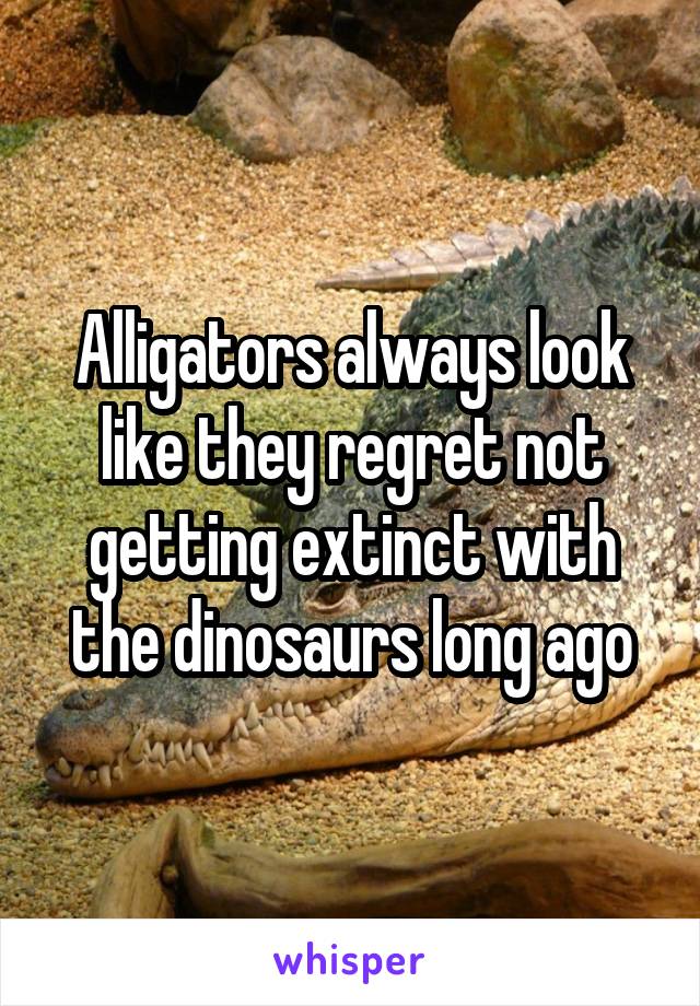 Alligators always look like they regret not getting extinct with the dinosaurs long ago