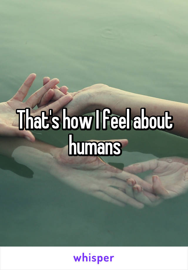 That's how I feel about humans