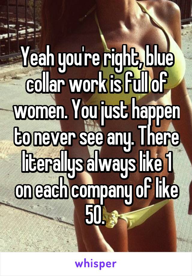 Yeah you're right, blue collar work is full of women. You just happen to never see any. There literallys always like 1 on each company of like 50. 