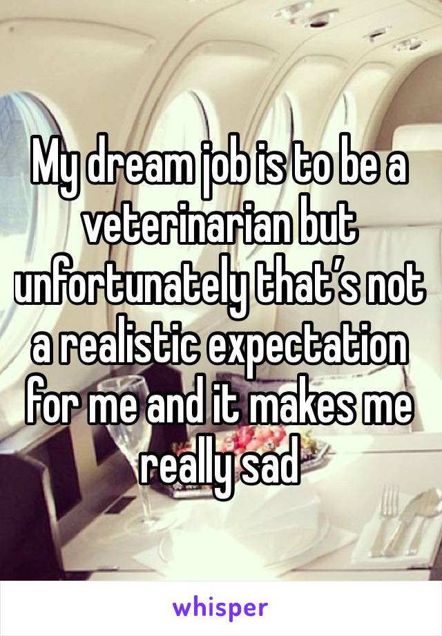 My dream job is to be a veterinarian but unfortunately that’s not a realistic expectation for me and it makes me really sad 