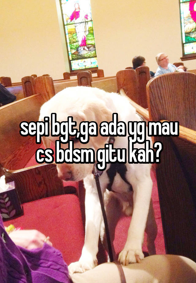 sepi bgt,ga ada yg mau cs bdsm gitu kah?