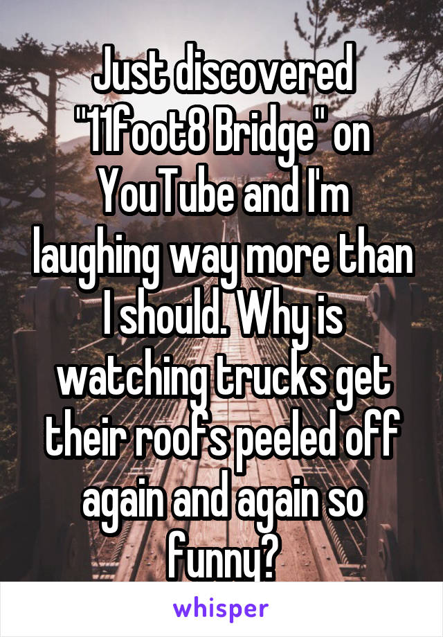 Just discovered "11foot8 Bridge" on YouTube and I'm laughing way more than I should. Why is watching trucks get their roofs peeled off again and again so funny?