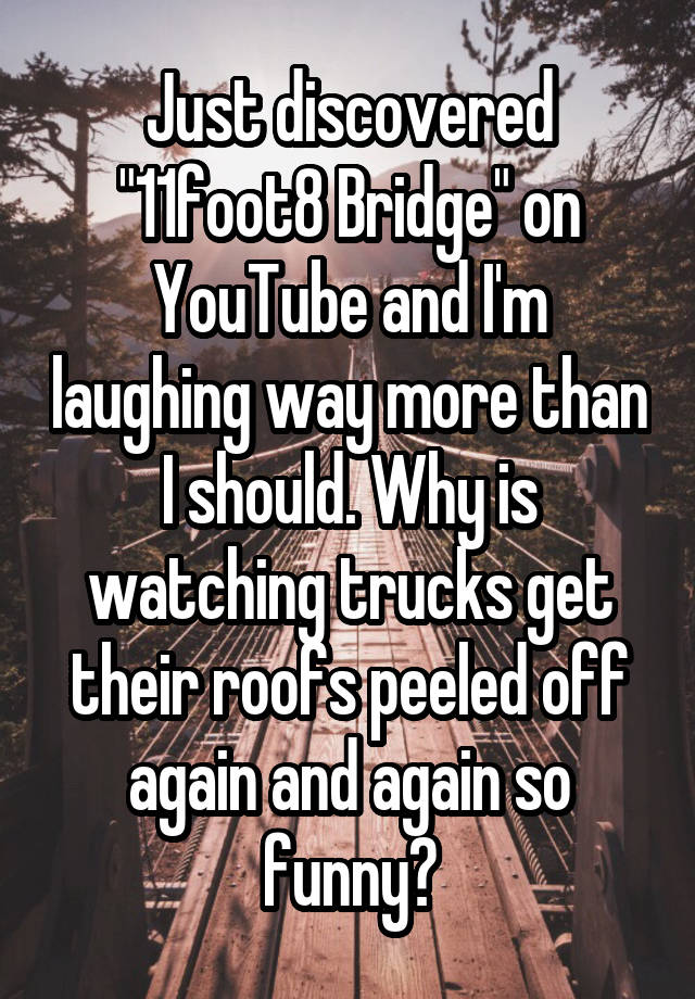 Just discovered "11foot8 Bridge" on YouTube and I'm laughing way more than I should. Why is watching trucks get their roofs peeled off again and again so funny?