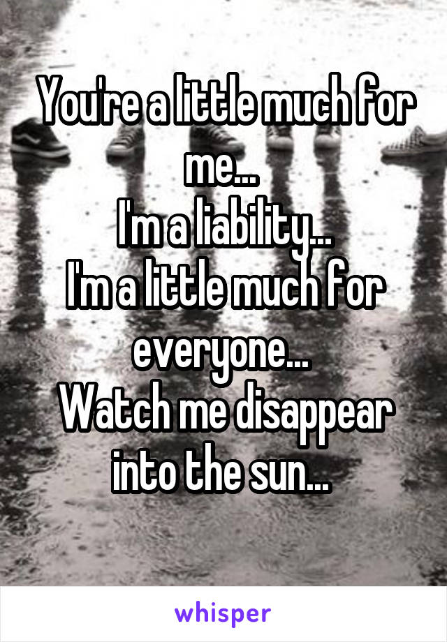 You're a little much for me... 
I'm a liability...
I'm a little much for everyone... 
Watch me disappear into the sun... 
