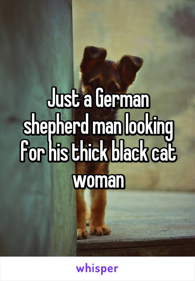 Just a German shepherd man looking for his thick black cat woman