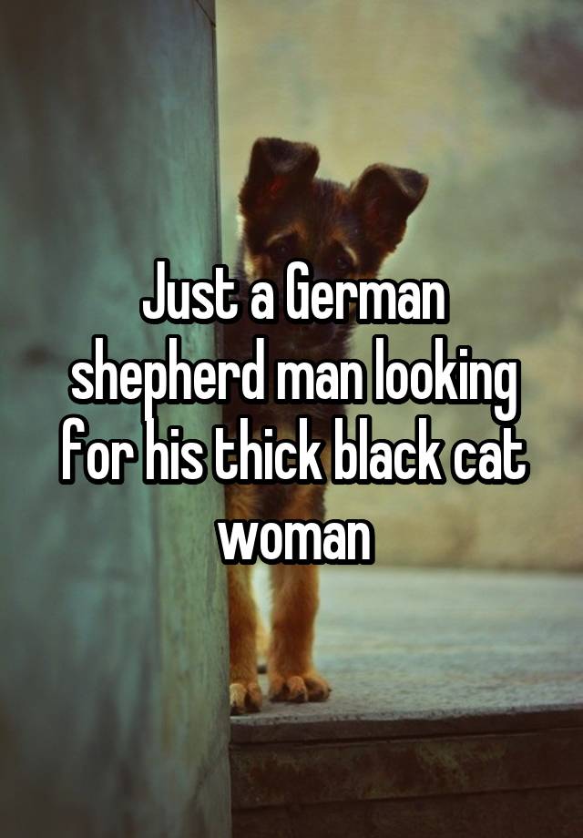 Just a German shepherd man looking for his thick black cat woman