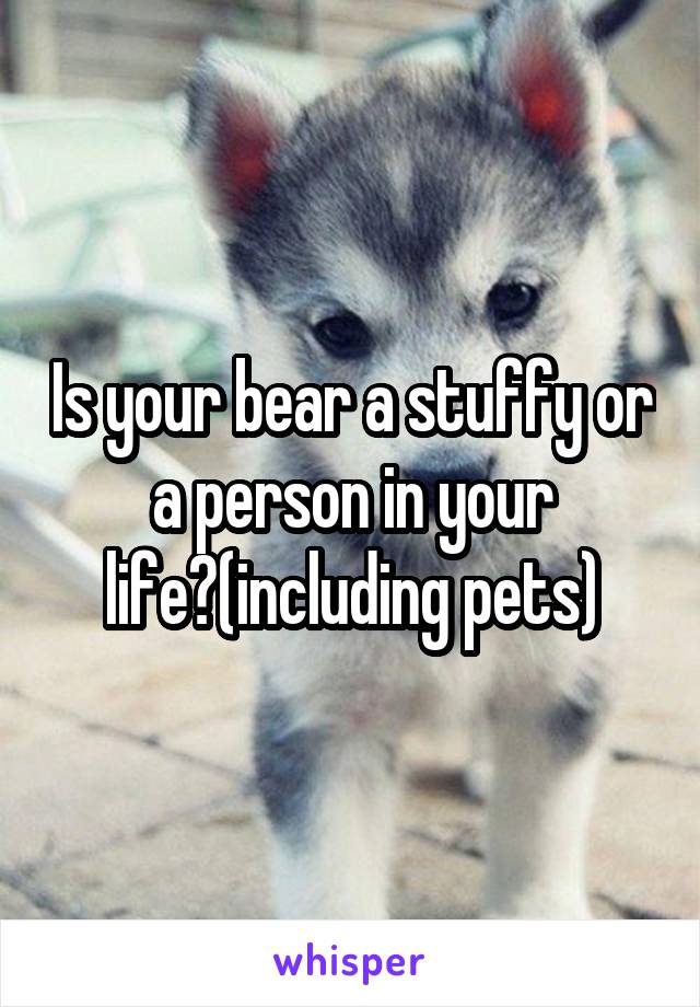 Is your bear a stuffy or a person in your life?(including pets)