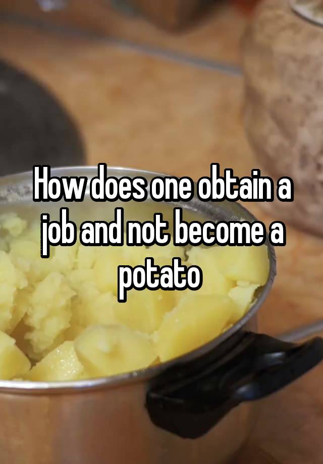 How does one obtain a job and not become a potato 