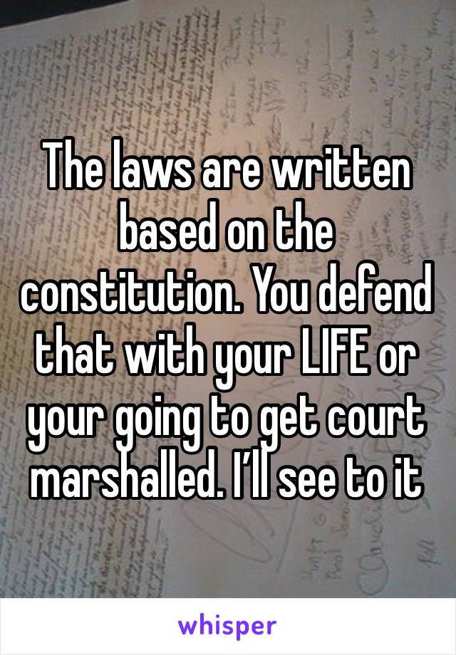 The laws are written based on the constitution. You defend that with your LIFE or your going to get court marshalled. I’ll see to it 