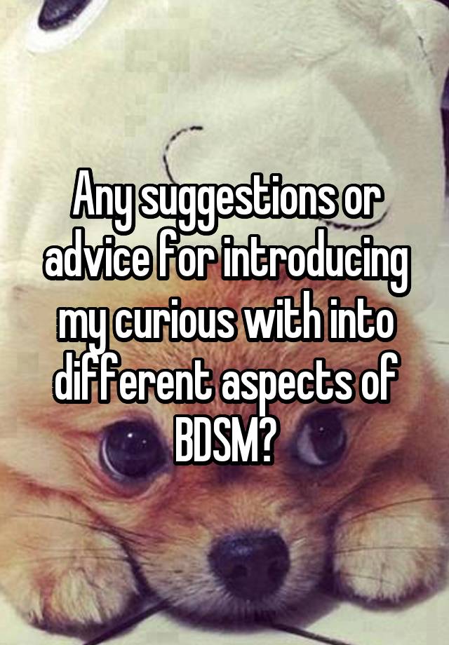 Any suggestions or advice for introducing my curious with into different aspects of BDSM?